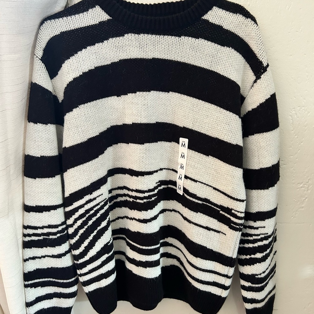 NWT Zara Sweater
